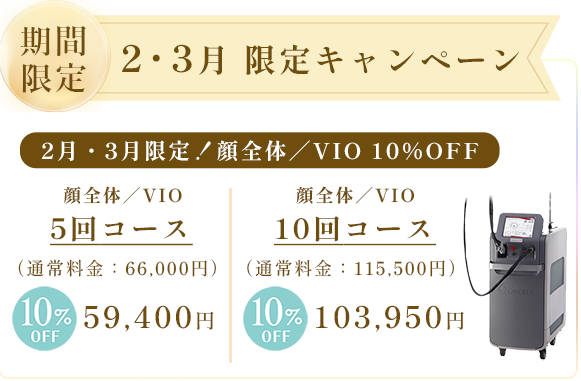 全身脱毛 全身+VIO or 顔全体 5回 198,000円
