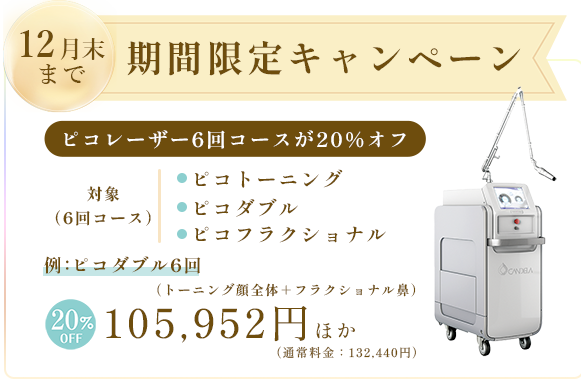 シミ取り5㎜×5㎜　5,500円・シミ取り放題　頬　55,000円
