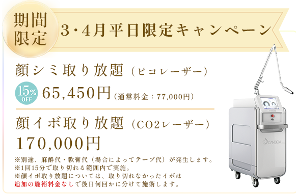 シミ取り5mmx5mm5,500円（税込）、シミ取り放題 頬55,000円（税込）